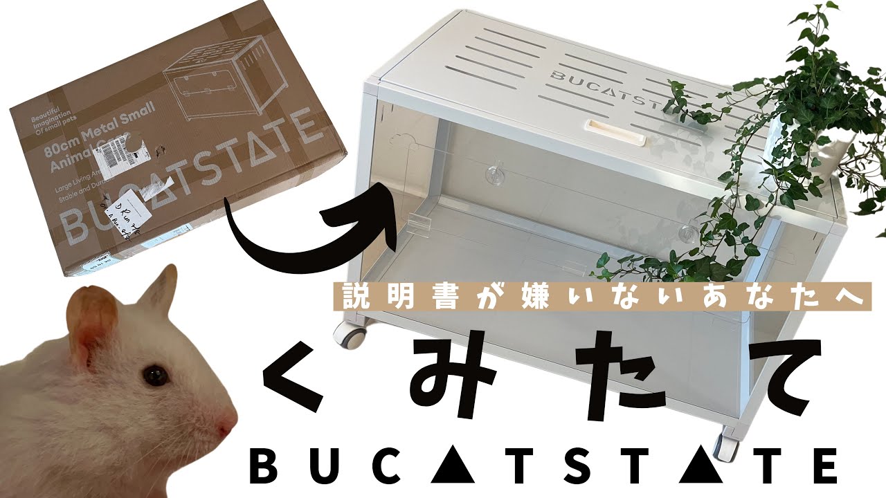 Hamster BUCATSTATE Cage Unboxing & Assembly!! - YouTube