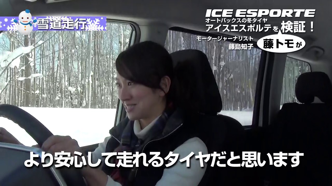 オートバックス アイスエスポルテ 195/65R15 91Q | オートバックス公式