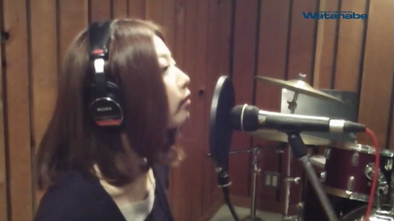 Electro-Voice ( EV エレクトロボイス ) N/D767a ダイナミック型マイク