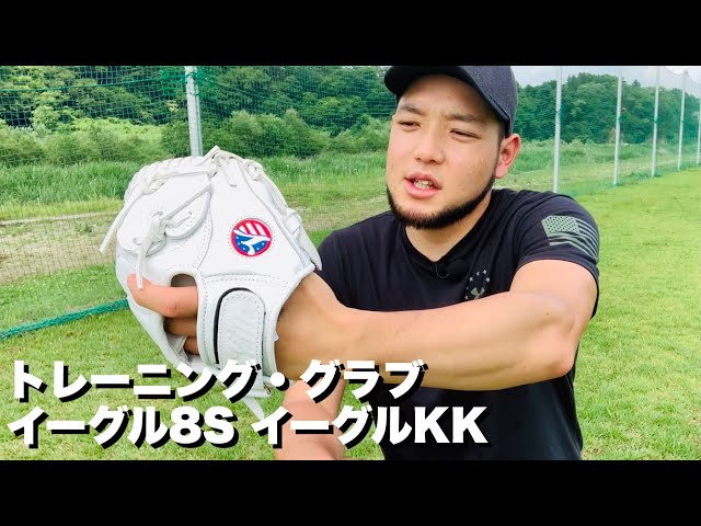 Vallie イーグル8s トレーニンググラブ VALLE Eagle 8S Training Glove