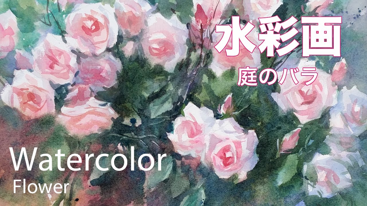 Watercolor Painting Rose in garden- 庭のバラ 水彩画 張学平 - YouTube