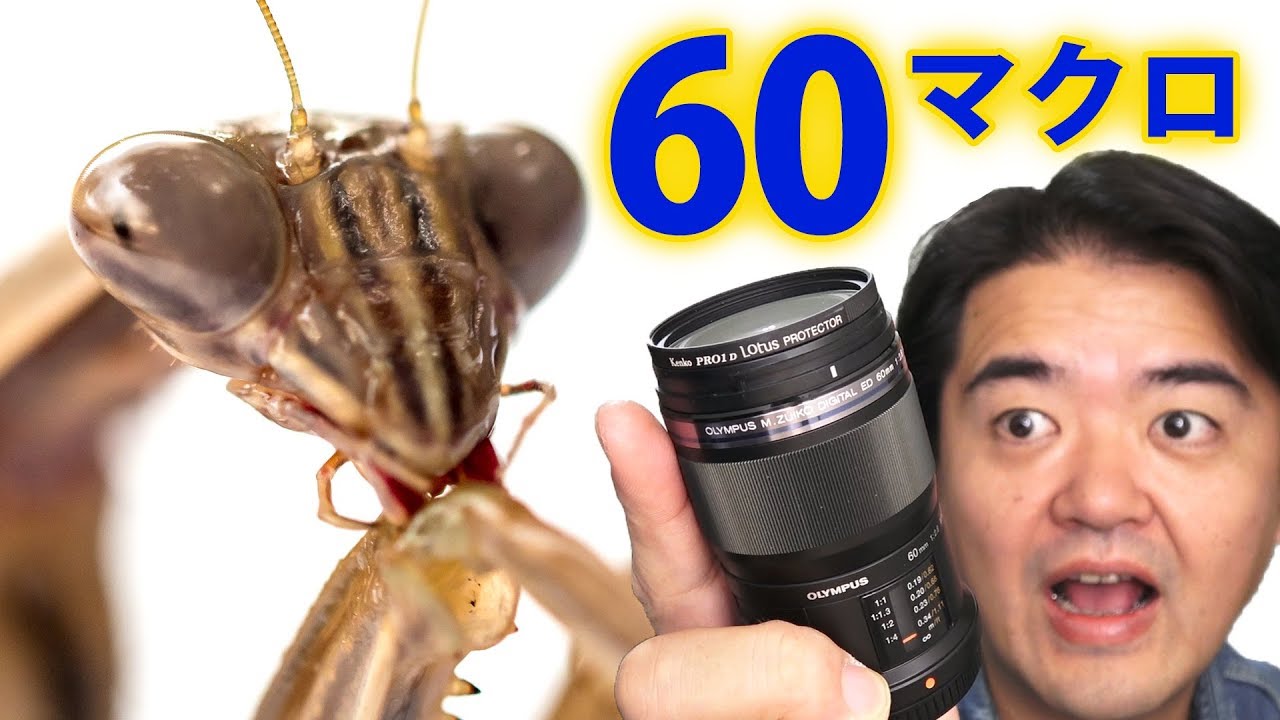 あのイケメン取材レンズはこれだ！ OLYMPUS M.ZUIKO DIGITAL ED 60mm