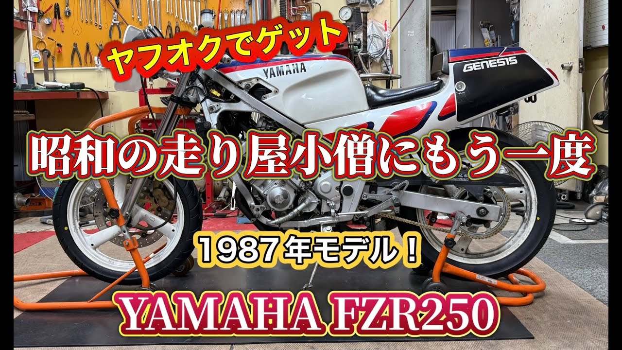 I bought it on Yahoo! Auctions! FZR250, a legendary Showa-era bike