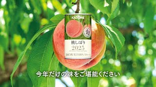 桃しぼり(20本)｜旬の会ラインナップ ｜【カゴメの通販】カゴメ健康直送便