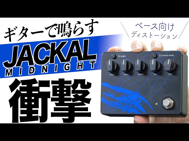 We tried out the popular bass distortion pedal JACKAL MIDNIGHT on
