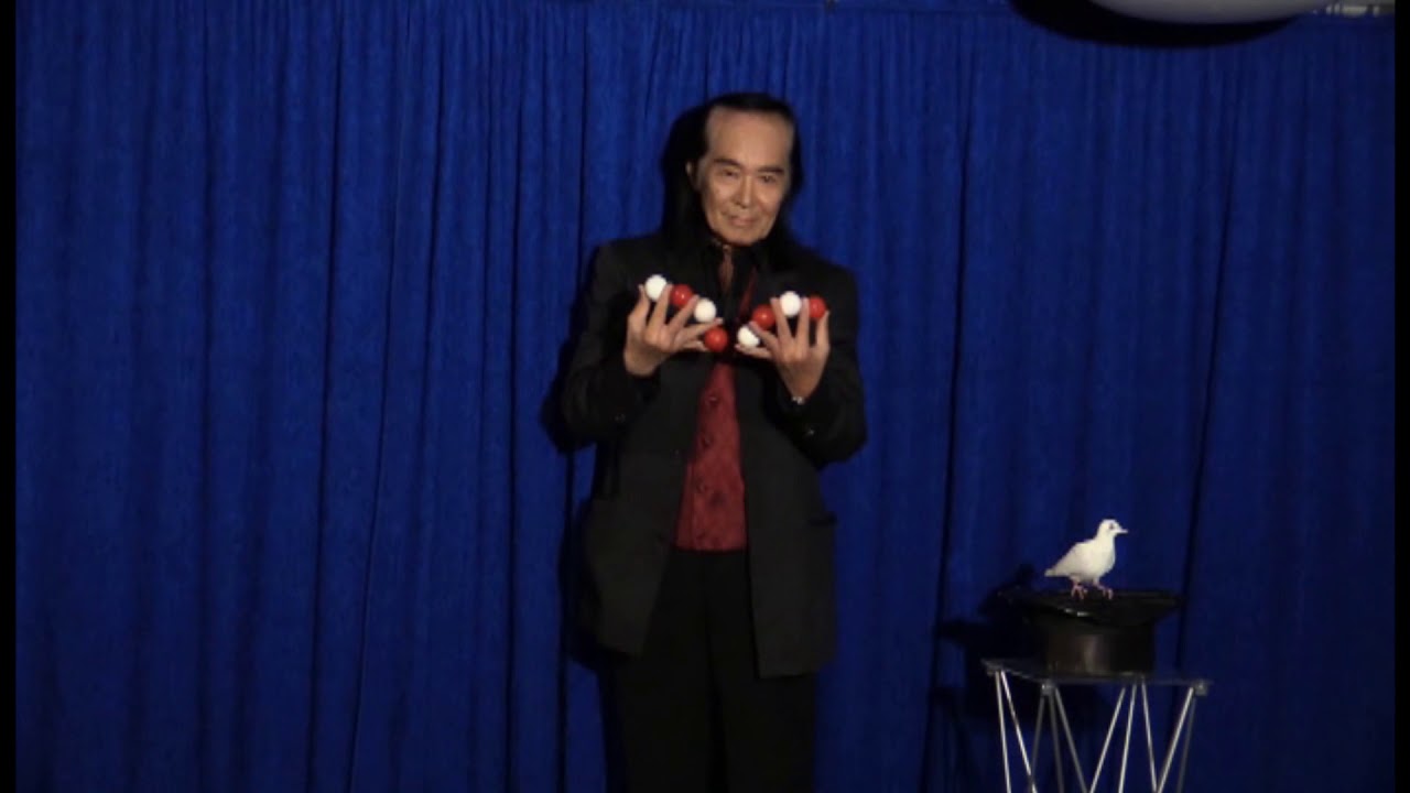 島田晴夫特別実技レクチャー「世紀の鳩」DVD - YouTube