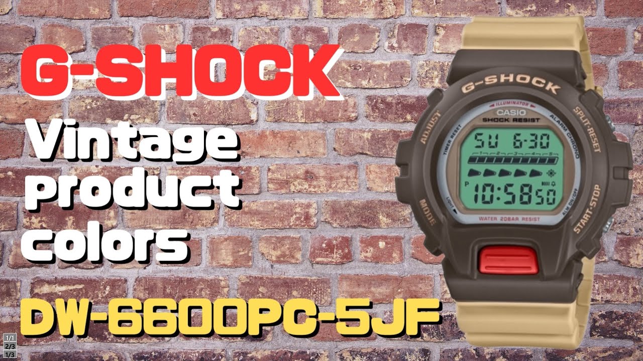 カシオGショック DW-6600PC-5JF メンズ Vintage product colors 限定品