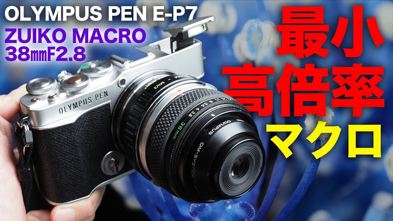 OLYMPUS E-P7【最小高倍率マクロ】ZUIKO 38m F2.8 MACRO・小型ボディと