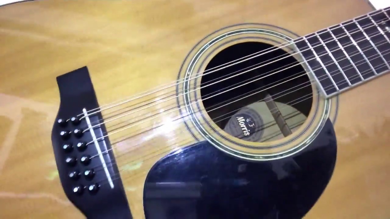 Morris】2万円でハカランダ！12弦ギターを買ってみた！【B-50】 - YouTube