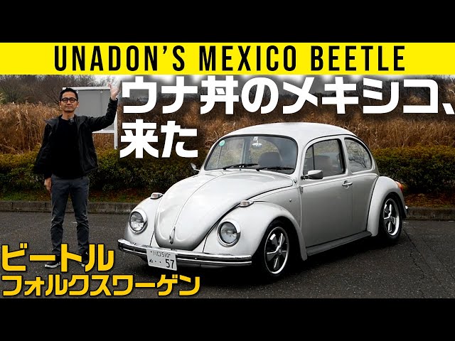 Mexico, the land of eel rice bowls, has arrived!] Introducing his