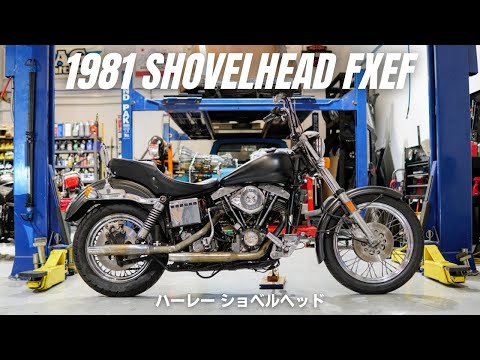1981 Shovelhead FXEF / ハーレー ショベルヘッド - YouTube