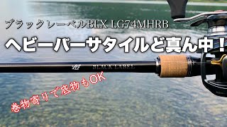 超お気に入り！ダイワの巻物系ヘビーバーサタイルど真ん中！【BLX