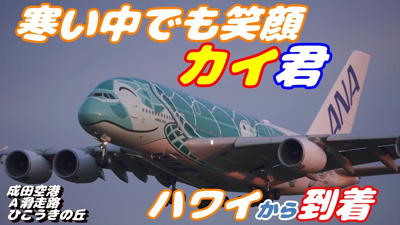 4K】成田空港 ひこうきの丘 ANA超巨大旅客機エアバスA380カイ君 寒い