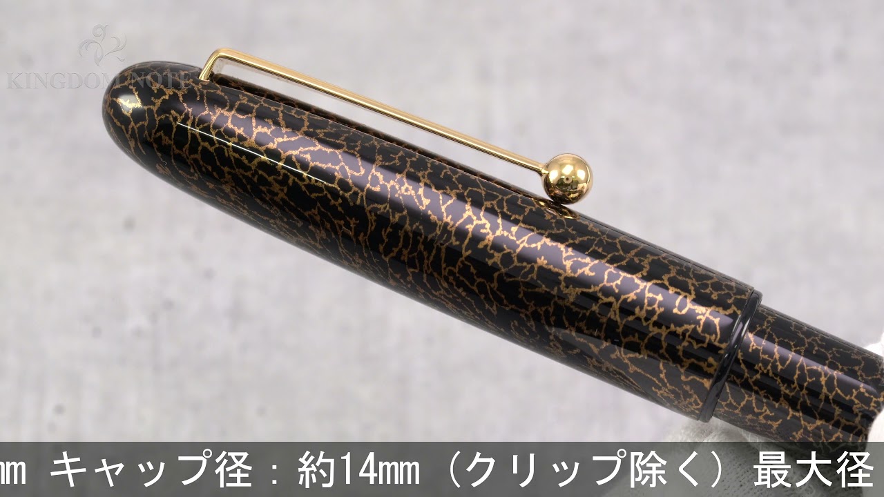 PILOT パイロット 万年筆 研出平蒔絵 蜻蛉塗 細字 - YouTube