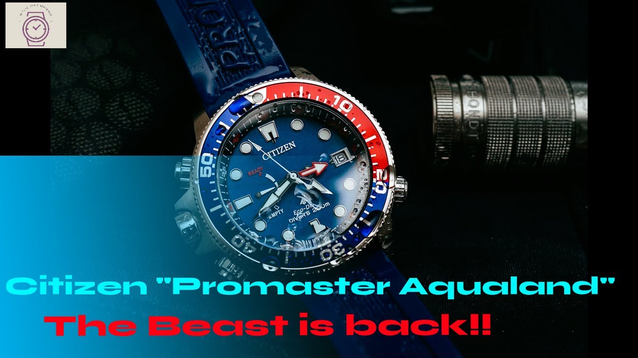 The Citizen Promaster 