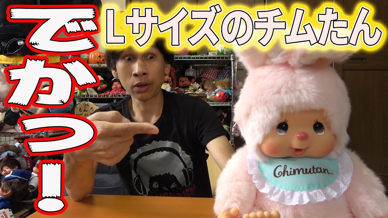 Lサイズのチムたん紹介！【モンチッチシリーズ#99】 - YouTube