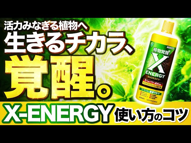 Awakening the power of life for vibrant plants. Tips on how to use