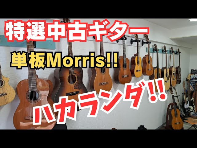 爆安!!】日本製Morris（モーリス）M-601Bトップ単板!!ハカランダ