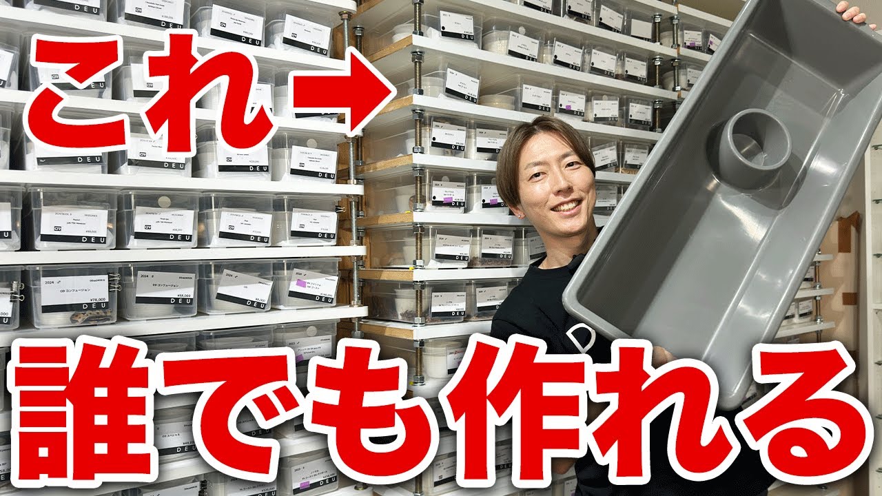 プロの裏仕事】スネークラックの作り方 | ボールパイソン専門店 DEU