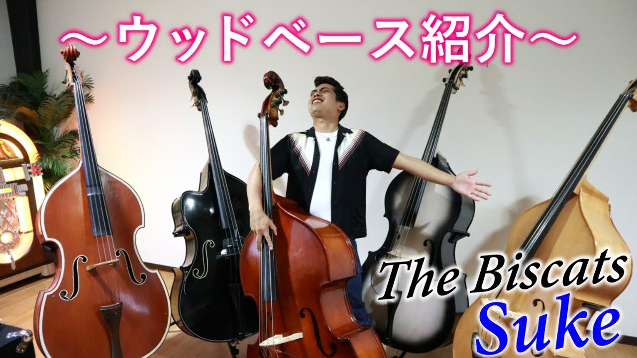 楽器紹介】ウッドベース全員集合！！ - YouTube