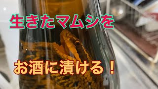 Make viper sake using live vipers! - YouTube