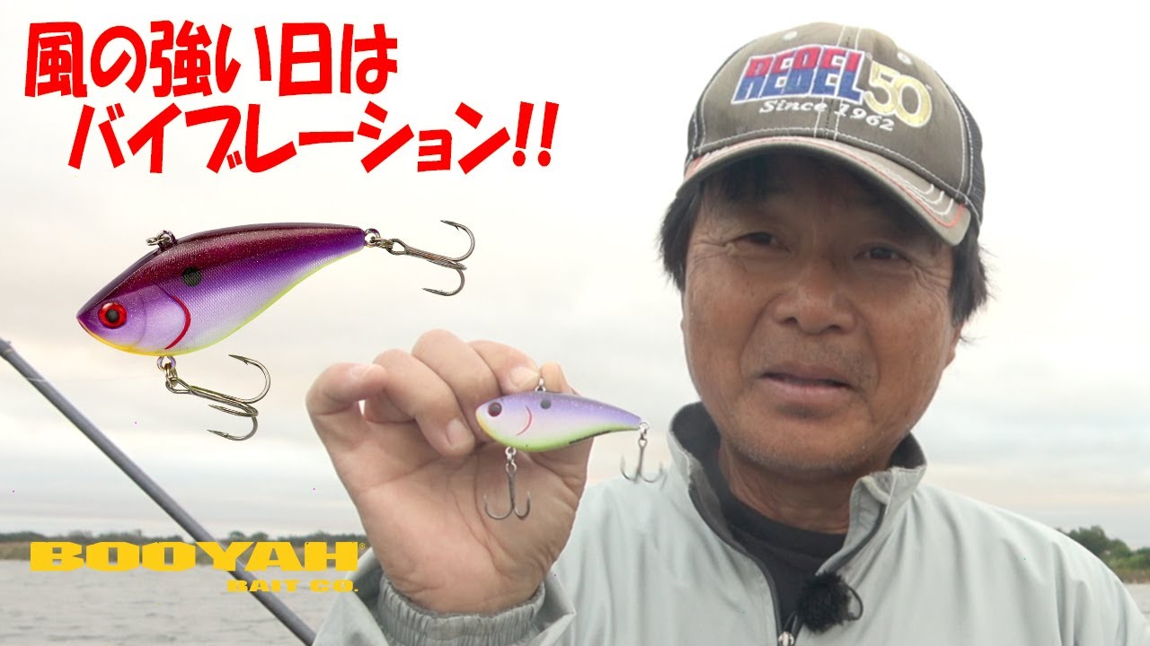 ヒロ内藤流バス釣り】風の強い日にはバイブレーション‼【ブーヤー社