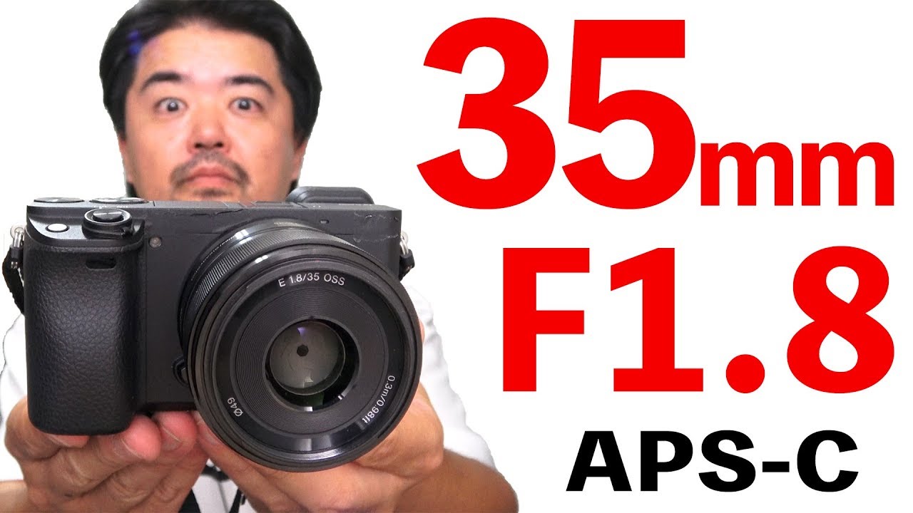 ソニーの撒餌レンズ良いぞ！SONY E 35mm F1.8 OSS SEL35F18 ミラーレス