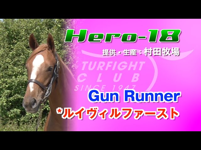 Hero18(牝1歳 Gun Runner x *ルイヴィルファースト)の2025年1歳馬募集