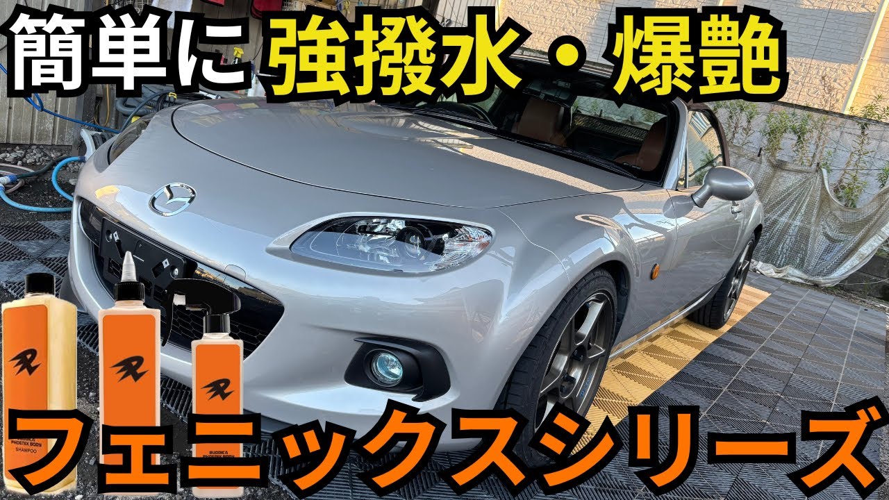 Comprehensive explanation] How to use the BUDDICA 