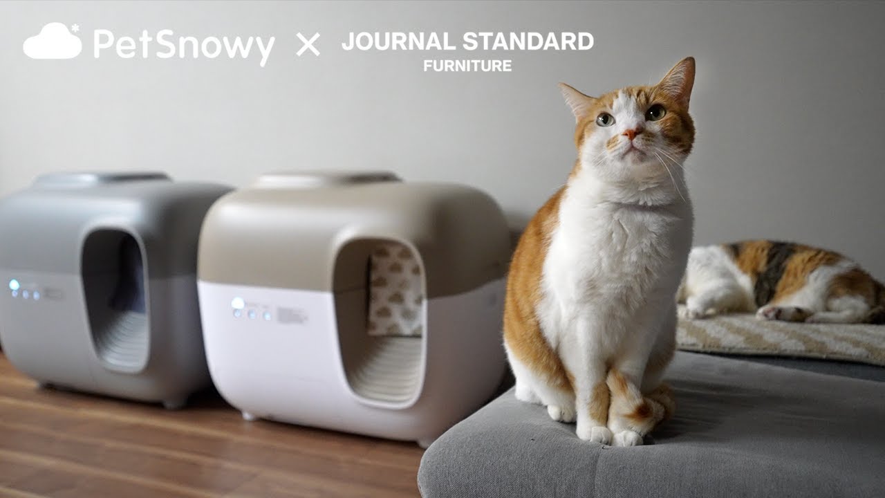 Introducing the JOURNAL STANDARD collaboration model, the fully