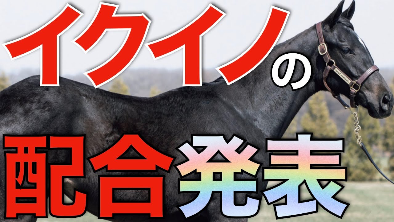 This is the best lineup ever! The breeding partners for Equinox's