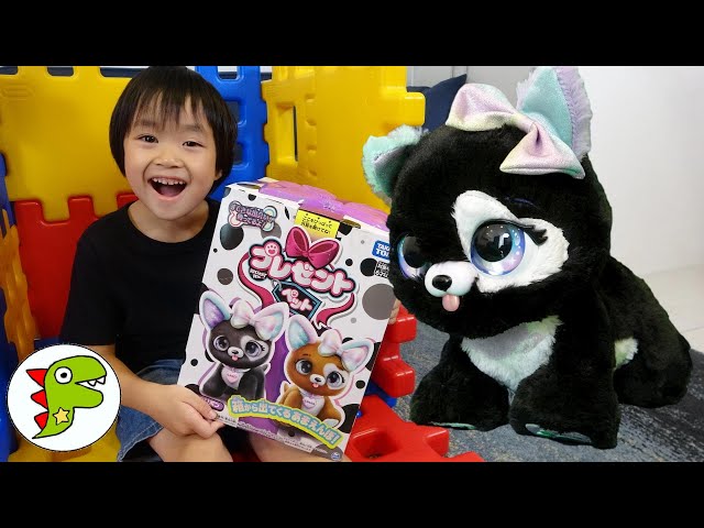 レオくんがプレゼントペットであそぶよ！どんなわんこがでてくるかな