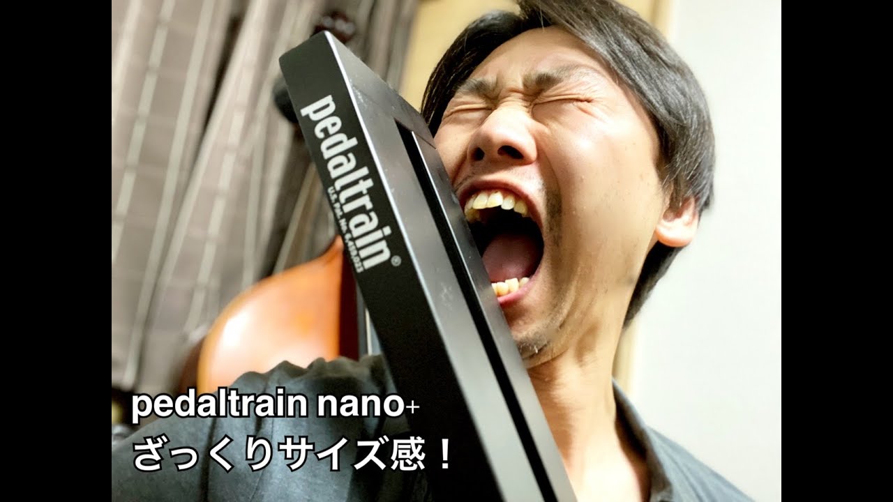 ベース初心者にオススメ】pedaltrain nano plus サイズをレビューし