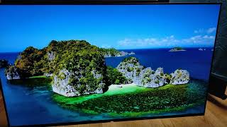 ソニー SONY ブラビア 55インチ有機EL 4Kテレビ KJ-55A1 2018年式 HDR