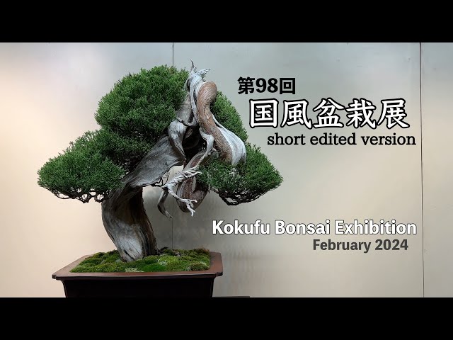国風盆栽展 [short edited version]／Kokufu Bonsai Exhibition - YouTube