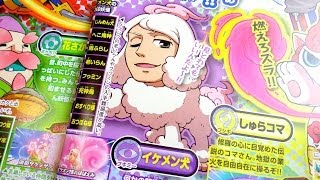 Aim for a handsome dog! YMC Video Legend Yokai Handsome Dog