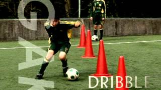 ジャパンライム SHIZUGAKU シズガク サッカースタイル 静岡学園 名将