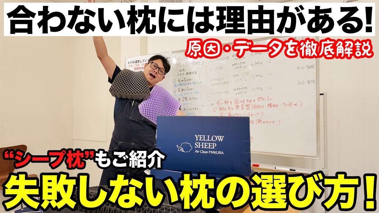 限定特別価格】枕の臭いで悩まない！新開発の技術で作られたまくらが