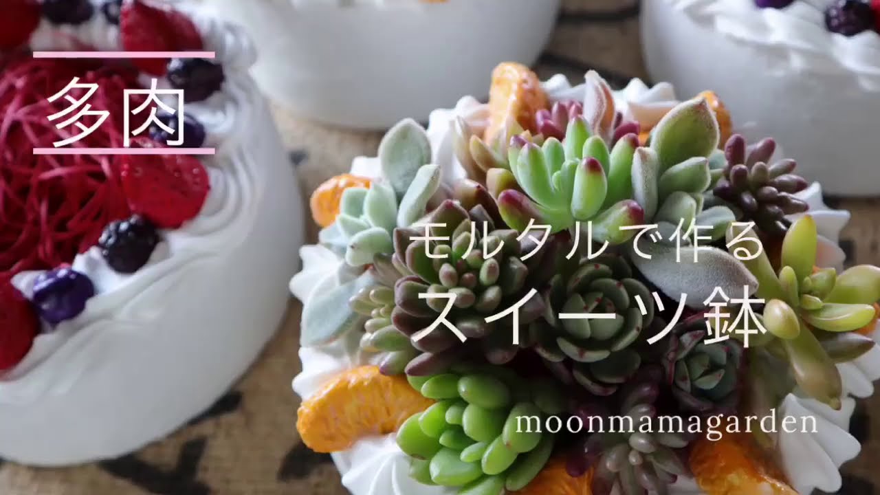 モルタルデコ】モルタルで作るスイーツ鉢に多肉ちゃん - YouTube
