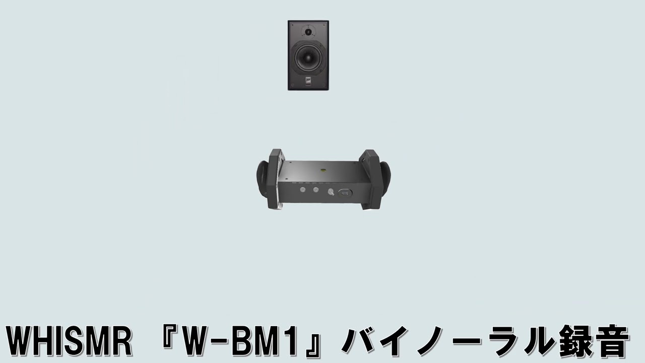 次世代バイノーラルマイク新登場！ 『スマホにつなぐだけ、持ち運び