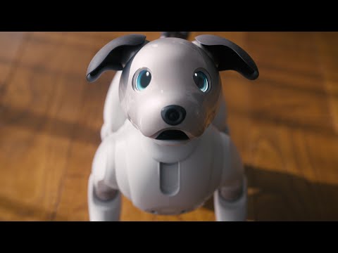 レンタル] ソニー エンタテインメントロボット aibo エスプレッソ