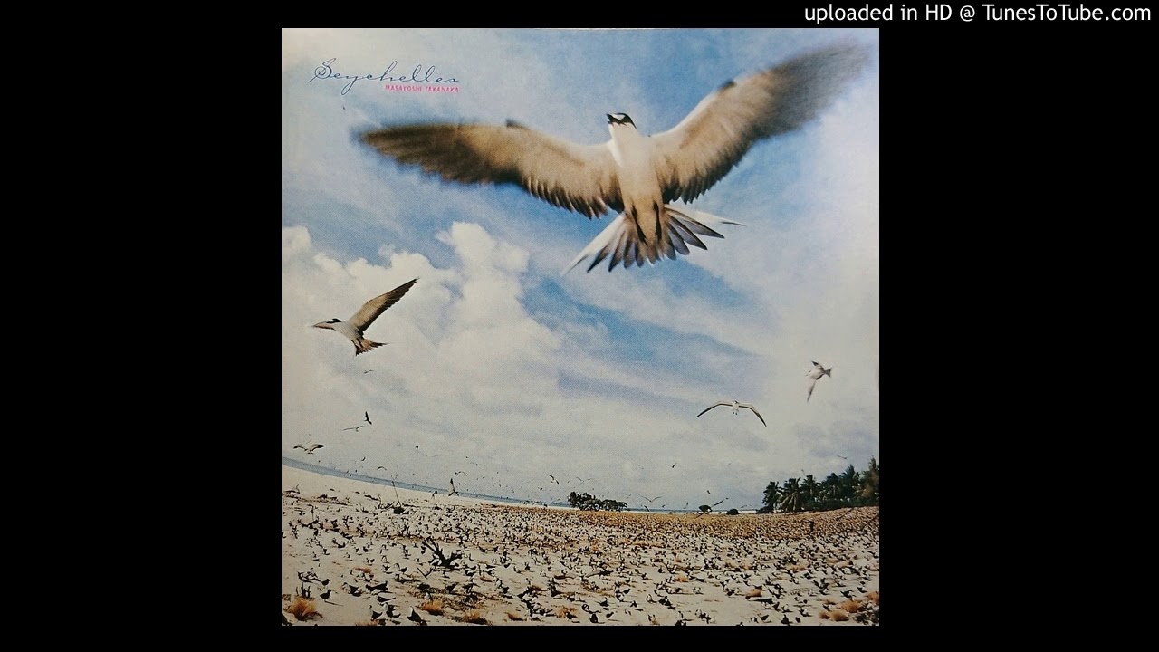 高中正義 / Seychelles - Guitar Records