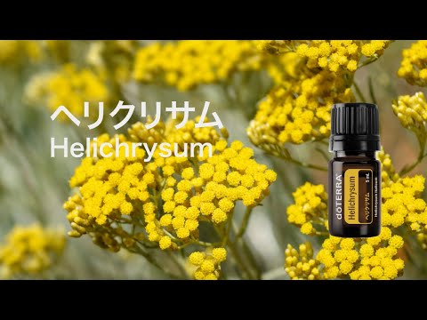 この夏ぴったりの、⁠爽快感抜群、⁠超絶フレッシュブレンドのご