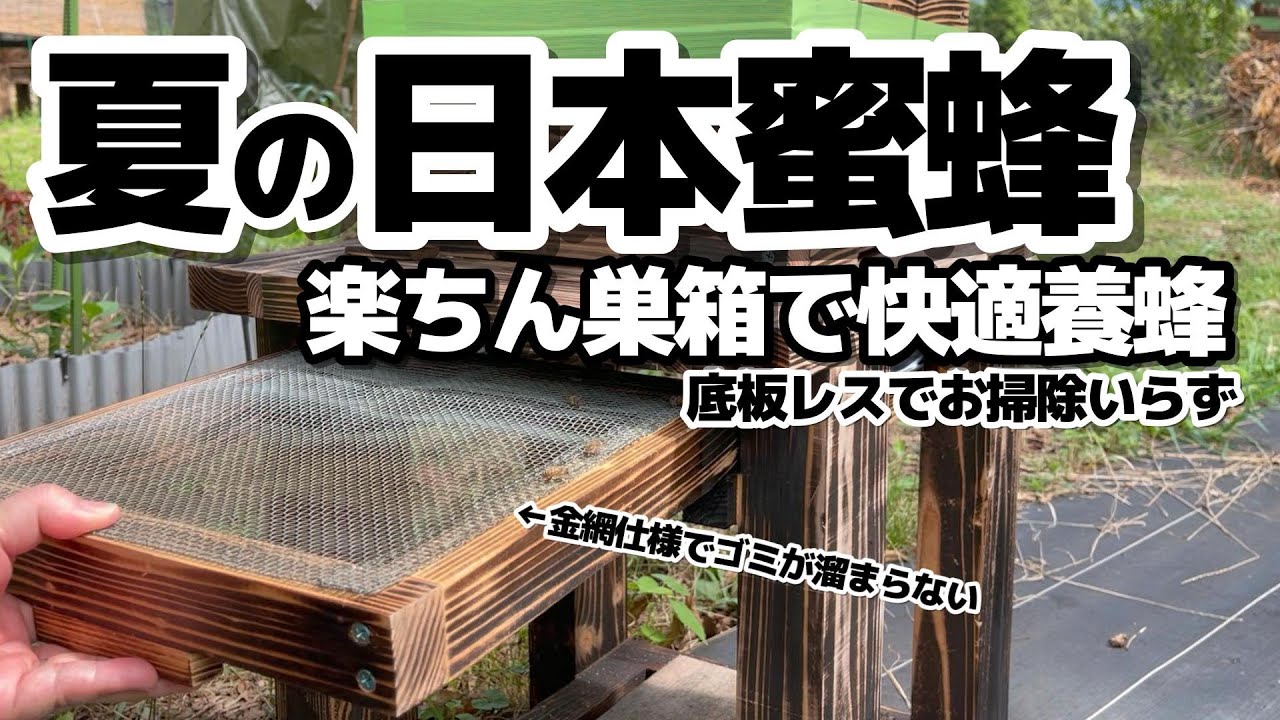 日本蜜蜂の養蜂が楽になる底板金網式の巣箱はお掃除要らずで快適養蜂