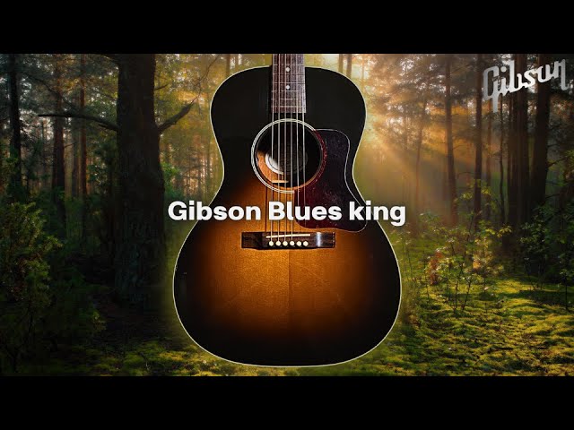 この選択もあり。【Gibson Blues king】L.R.Baggs Element搭載 2012年