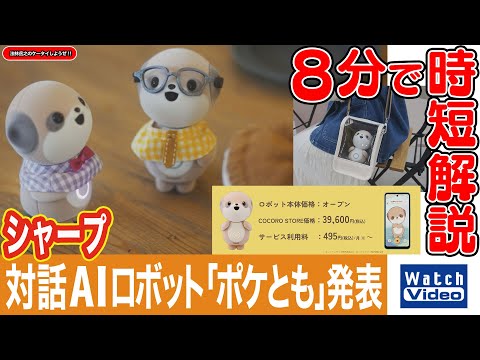 Sharp announces conversational AI robot 