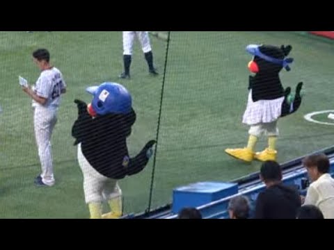 We Are The Swallows』 by 林田 健司 in 神宮球場 - YouTube