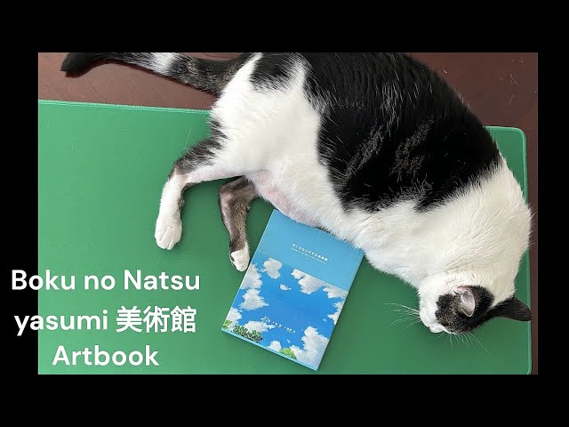 Boku no Natsuyasumi Artbook Flip Through | 我的暑假美術館 翻書