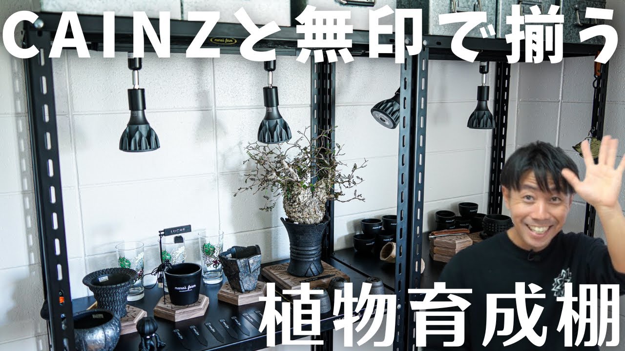 コスパ最強？！塊根・アガベ植物育成棚完成！！ - YouTube