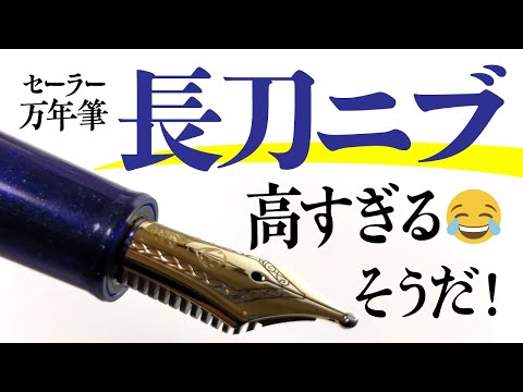 万年筆】コスパ抜群のセーラー プロフィットライト ズームニブは